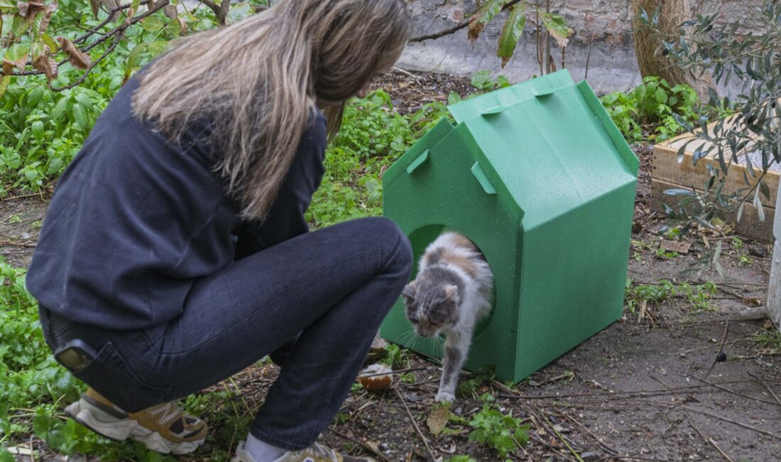 İzmir Büyükşehir Belediye Başkanı Dr. Cemil Tugay’ın çağrısı sonrası harekete