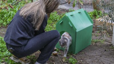 İzmir Büyükşehir Belediye Başkanı Dr. Cemil Tugay’ın çağrısı sonrası harekete
