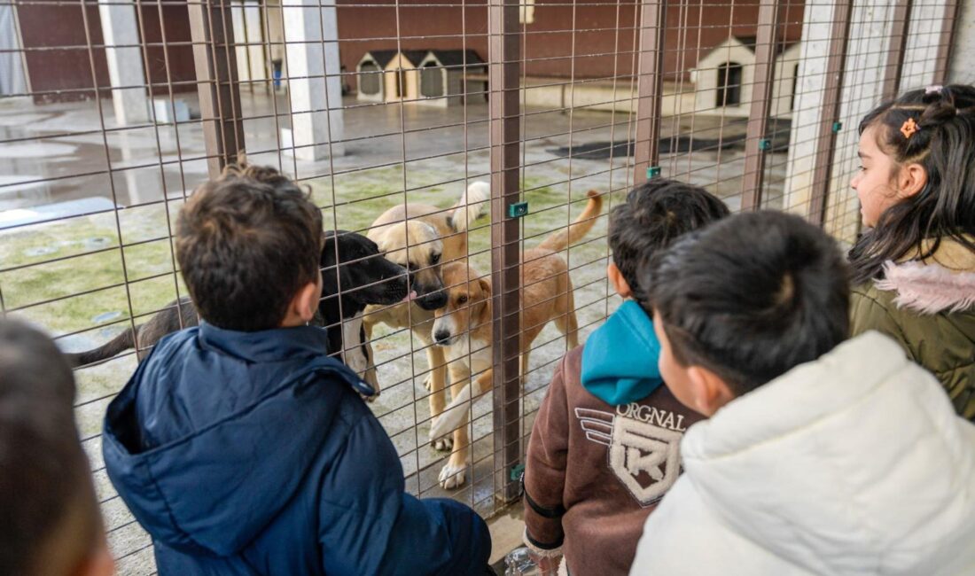 İzmir Büyükşehir Belediyesi, “Tek Sağlık” modeliyle yürüttüğü çalışmalar kapsamında son