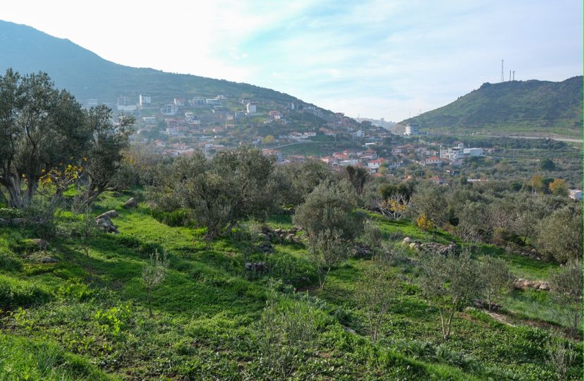 Menemen Belediyesi, Ayvacık’ta 100 yıldır taşıma suyla yapılan tarımı sona