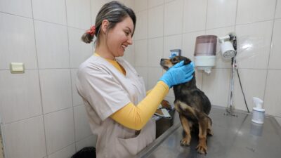 Gaziemir Belediyesi, sokak hayvanlarının sağlıklı ve güvenli bir yaşam sürmesi