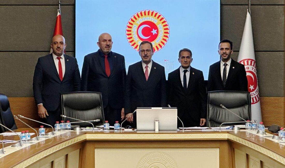 Türkiye Büyük Millet Meclisi (TBMM) Engelli Bireylerin Sorunlarını Araştırma Komisyonu,