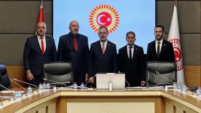 Türkiye Büyük Millet Meclisi (TBMM) Engelli Bireylerin Sorunlarını Araştırma Komisyonu,