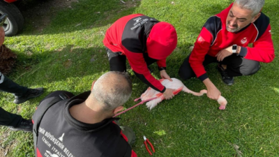 İzmir Büyükşehir Belediyesi İtfaiye Dairesi Başkanlığı ekipleri, İnciraltı’nda ayağına olta