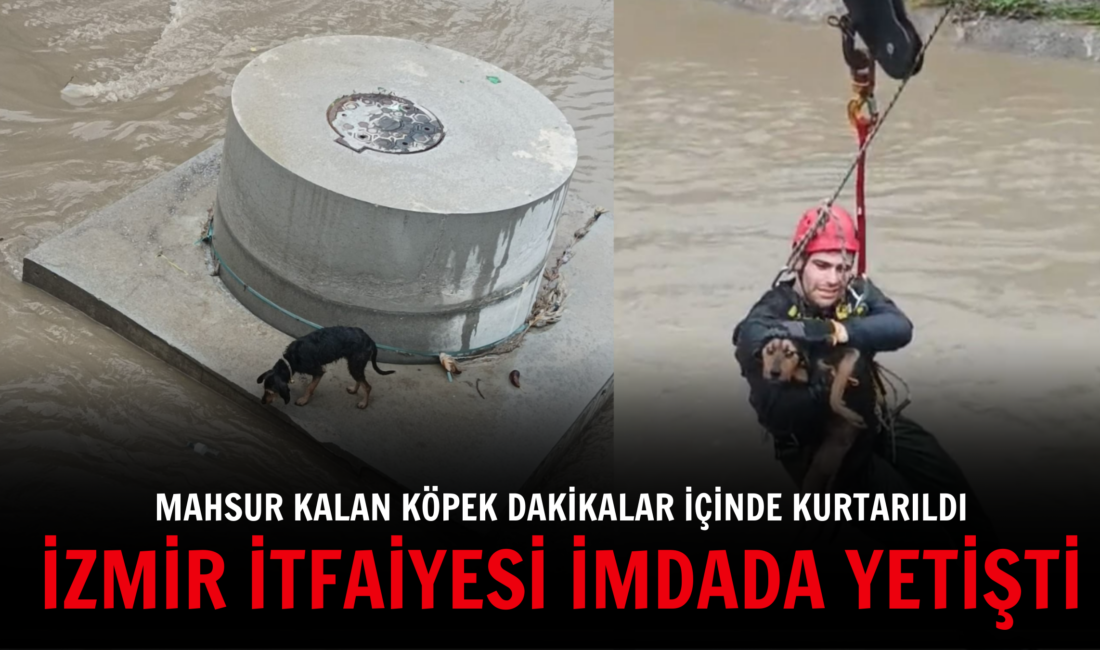 Karabağlar Aşık Veysel Mahallesi’nde dereye