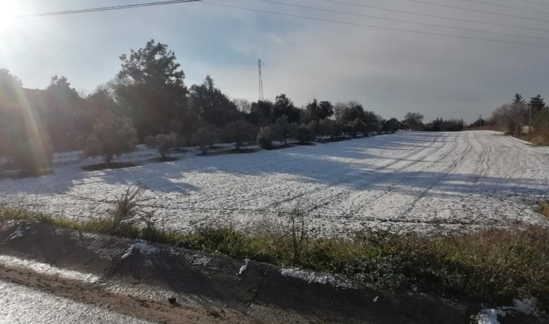İzmir’in Urla ilçesinin yüksek kesimlerinde gece başlayan kar yağışı sabaha