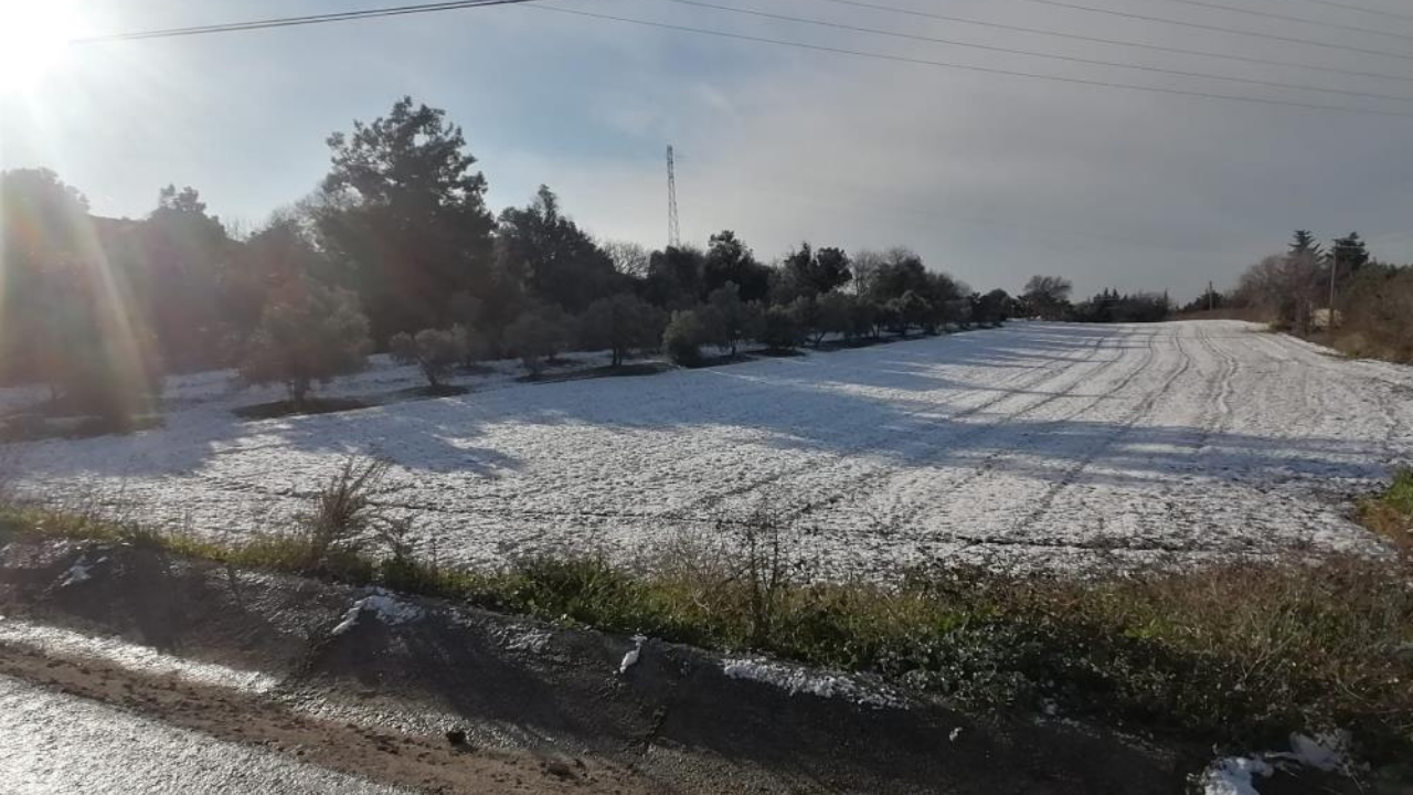 İzmir’in Urla ilçesinin yüksek kesimlerinde gece başlayan kar yağışı sabaha