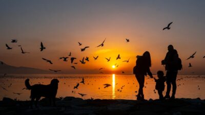 Karşıyaka Belediyesi, kardeş şehirler arasındaki kültürel bağları güçlendirmek amacıyla “Kardeş