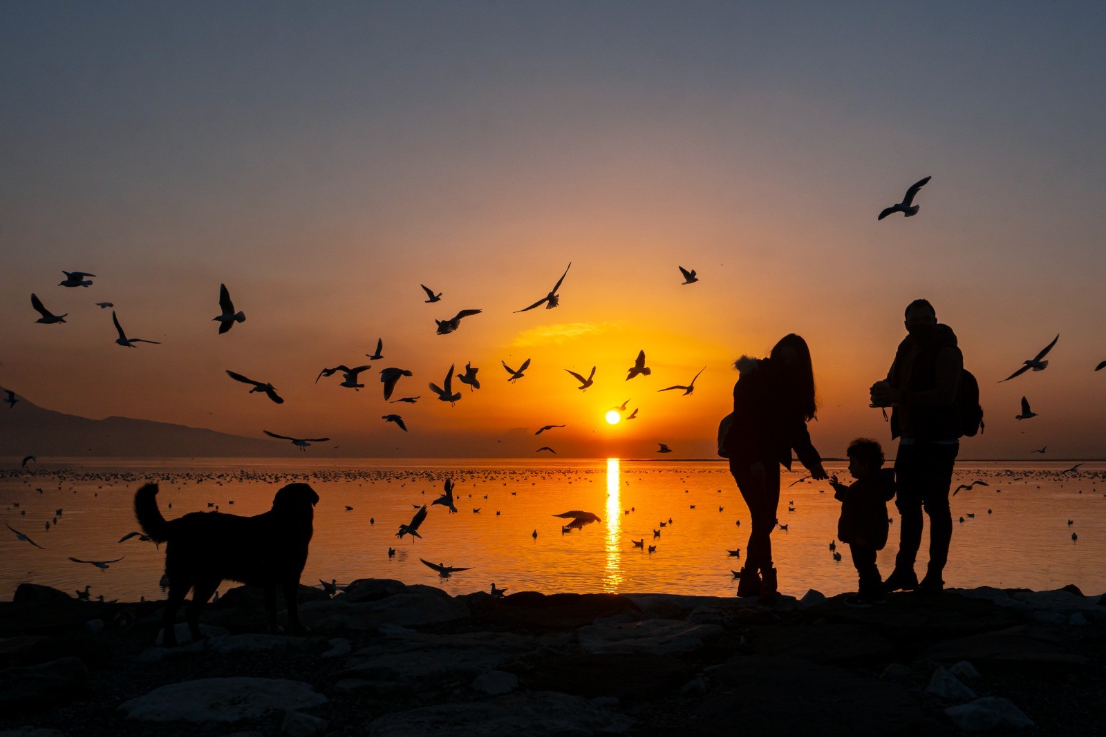 Karşıyaka Belediyesi, kardeş şehirler arasındaki kültürel bağları güçlendirmek amacıyla “Kardeş